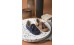 Loafer ταμπά με μπλέ φουντάκια για βάπτιση αγόρι Exclusive Babywalker BWEXC5173camel παπούτσια περπατήματος αγόρι
